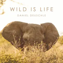 Wild Is Life Song Lyrics