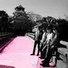 渦と渦〜西の渦〜Live at 大阪城ホール - Single album lyrics, reviews, download