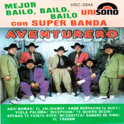 Mejor Bailo, Bailo, Bailo by Banda Aventurero album reviews, ratings, credits