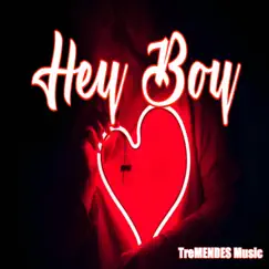 Hey Boy - Single by Juno Mendes album reviews, ratings, credits