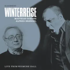 Winterreise, Song Cycle for Voice & Piano, D. 911 (, Op. 89), V. Der Lindenbaum Song Lyrics