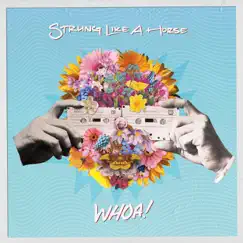 Crazy Like Me - Single by Strung Like a Horse album reviews, ratings, credits
