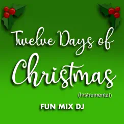 Twelve Days of Christmas (Instrumental) - Single by Fun Mix DJ album reviews, ratings, credits