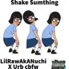 Shake Sumthing - Single album lyrics, reviews, download
