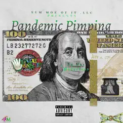 (Pandemic Pimpin') - Single by Mac Marvelous album reviews, ratings, credits
