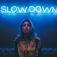 Slow Down - Single by Llamadeus album reviews, ratings, credits