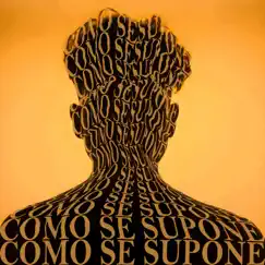 Como Se Supone - Single by Amy Lyanu album reviews, ratings, credits