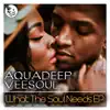 What the Soul Needs (feat. Craig) - EP album lyrics, reviews, download