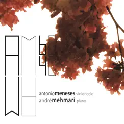 AM60AM40 by André Mehmari & Antonio Meneses album reviews, ratings, credits