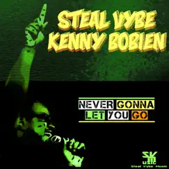 Never Gonna Let You Go - Single by Steal Vybe & Kenny Bobien album reviews, ratings, credits