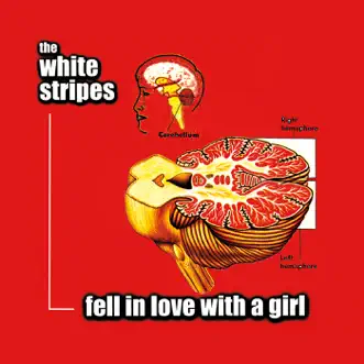 Fell in Love With a Girl - Single by The White Stripes album download