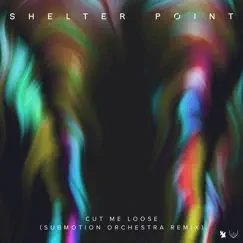 Cut Me Loose (Submotion Orchestra Remix) - Single by Shelter Point album reviews, ratings, credits