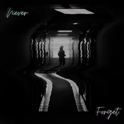 Never. Forget. - Single by Jeve album reviews, ratings, credits