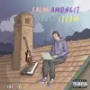 Calm Amongst This Storm album lyrics, reviews, download