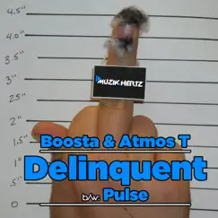 Delinquent / Pulse - Single by Boosta & Atmos T album reviews, ratings, credits