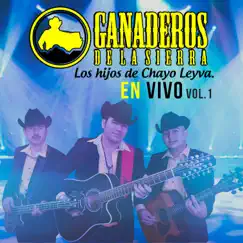 El Serro (En vivo) Song Lyrics