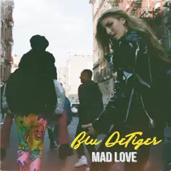 Mad Love Song Lyrics