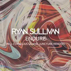 Endure - Single by Ryan Sullivan & Cornelius SA album reviews, ratings, credits