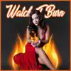 Watch It Burn (feat. DJ Hymn) - Single album lyrics, reviews, download