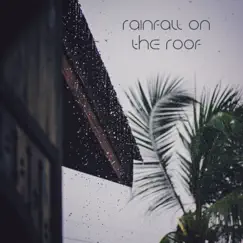 Rainfall On the Roof by Noise Academy, Rain Sounds for Sleep & White Noise Therapy album reviews, ratings, credits