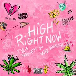 High Right Now (Remix) [feat. Wiz Khalifa] Song Lyrics