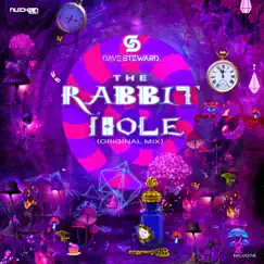 The Rabbit Hole - Single by Dave Steward album reviews, ratings, credits
