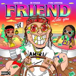 Friend Like You (feat. Dr Maleek) Song Lyrics