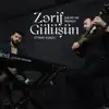 Zərif Gülüşün - Single album lyrics, reviews, download
