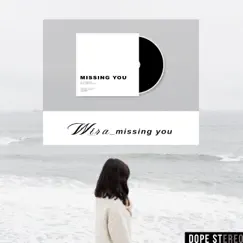 Missing You - Single by Denwira album reviews, ratings, credits