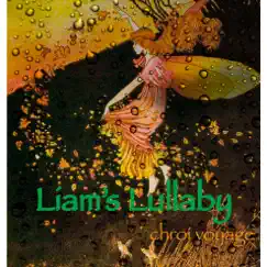 Liam's Lullaby Song Lyrics