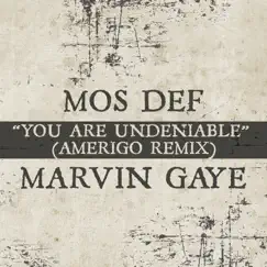 You Are Undeniable (Amerigo Remix) - Single by Mos Def & Marvin Gaye album reviews, ratings, credits