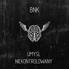 Umysł Niekontrolowany by BnK album reviews, ratings, credits