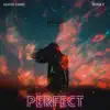 Perfect (feat. Peter Z) - Single album lyrics, reviews, download