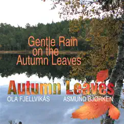 Gentle Rain (feat. Ola Fjellvikås & Asmund Bjørken) Song Lyrics