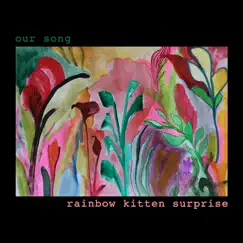 Our Song - Single by Rainbow Kitten Surprise album reviews, ratings, credits