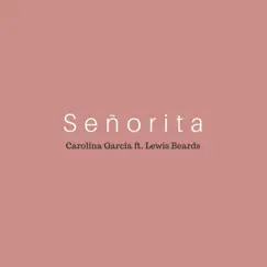 Señorita (Acoustic) Song Lyrics