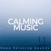 Calming Music: Deep Relaxing Sounds, Balanced Life, Better Concentrarion, Meditative Power, Inner Therapy album lyrics, reviews, download
