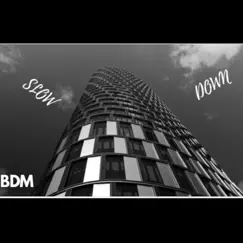 Slow Down - Single by BDM album reviews, ratings, credits