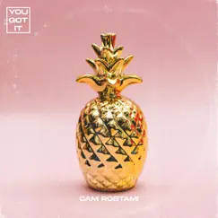 You Got It - Single by Cam Rostami album reviews, ratings, credits