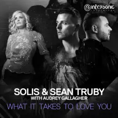 What It Takes to Love You (with Audrey Gallagher) - Single by Solis & Sean Truby album reviews, ratings, credits