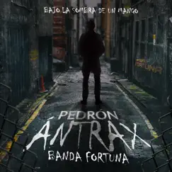 Pedrón Ántrax “Bajo La Sombra De Un Mango” (En Vivo) Song Lyrics