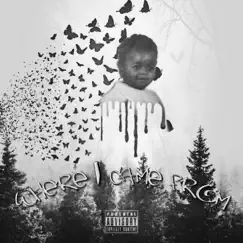 Where I Came from (Deluxe) - EP by Street baby lo album reviews, ratings, credits