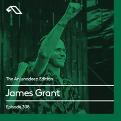 The Anjunadeep Edition 308 by James Grant album reviews, ratings, credits