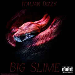 Trap House Freestyle - Single by Italian Dizzy album reviews, ratings, credits