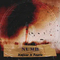 Numb (feat. Faerie) Song Lyrics