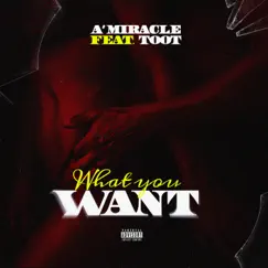What You Want (feat. Toot) - Single by A'miracle album reviews, ratings, credits