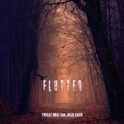 Flutter - Single by Turgay Umaz & Helin Çakır album reviews, ratings, credits