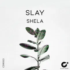 Shela Song Lyrics