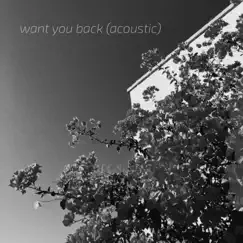 Want You Back (Acoustic) - Single by Tate Brusa album reviews, ratings, credits