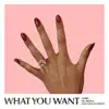 What You Want - Single album lyrics, reviews, download